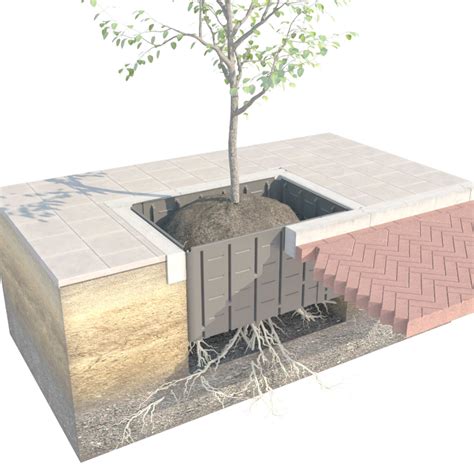 root barriers for mature trees